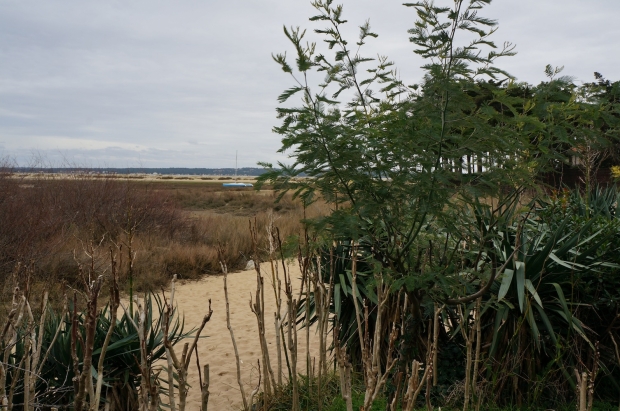Cap-Ferret