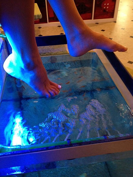 Fishpedicure 1639