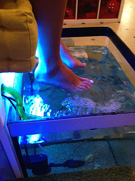 Fishpedicure 1641