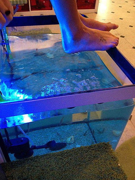 Fishpedicure 1642