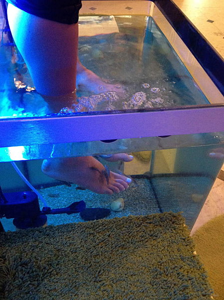 Fishpedicure 1645