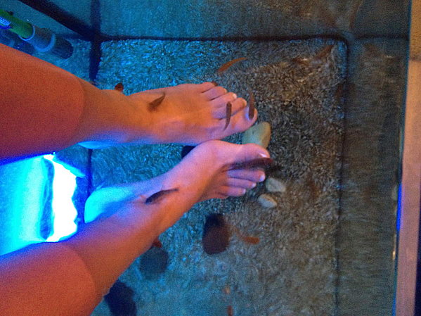 Fishpedicure 1653