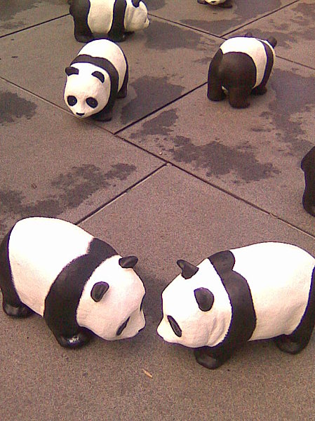Panda-mairie.jpg