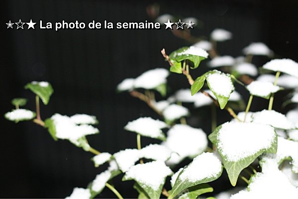 Neige à Bordeaux