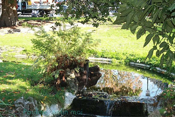 la-photo-du-dimanche 0103