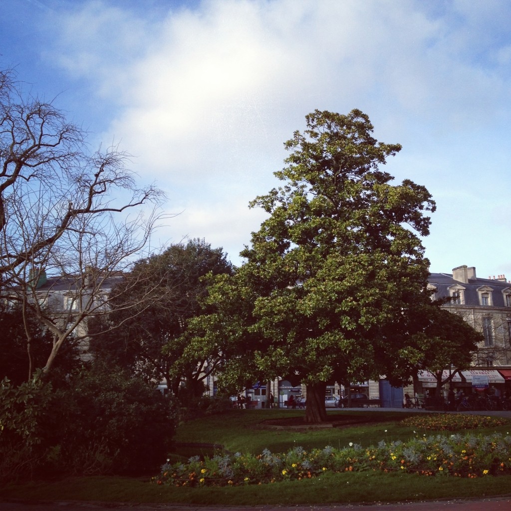 Place Gambetta