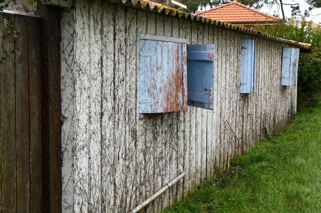 Cabane du Cap-Ferret