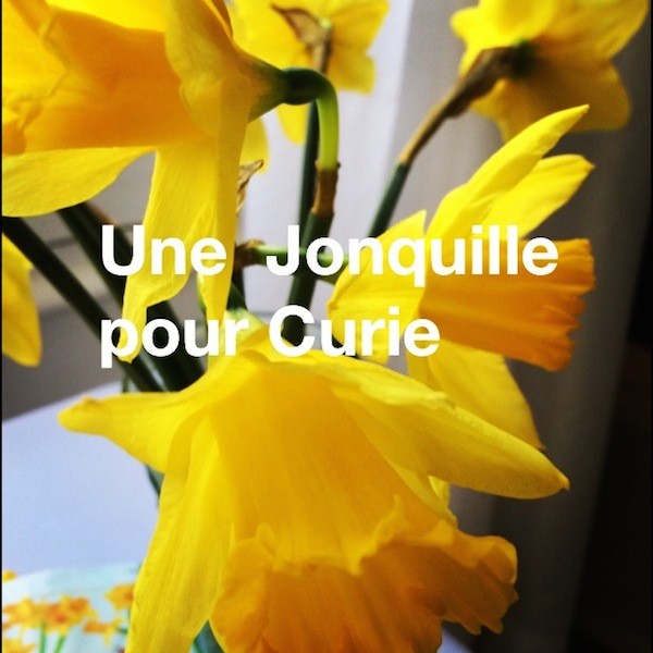 Une jonquille pour Curie ! - Blog Enfin Moi • Mode & lifestyle • Bordeaux