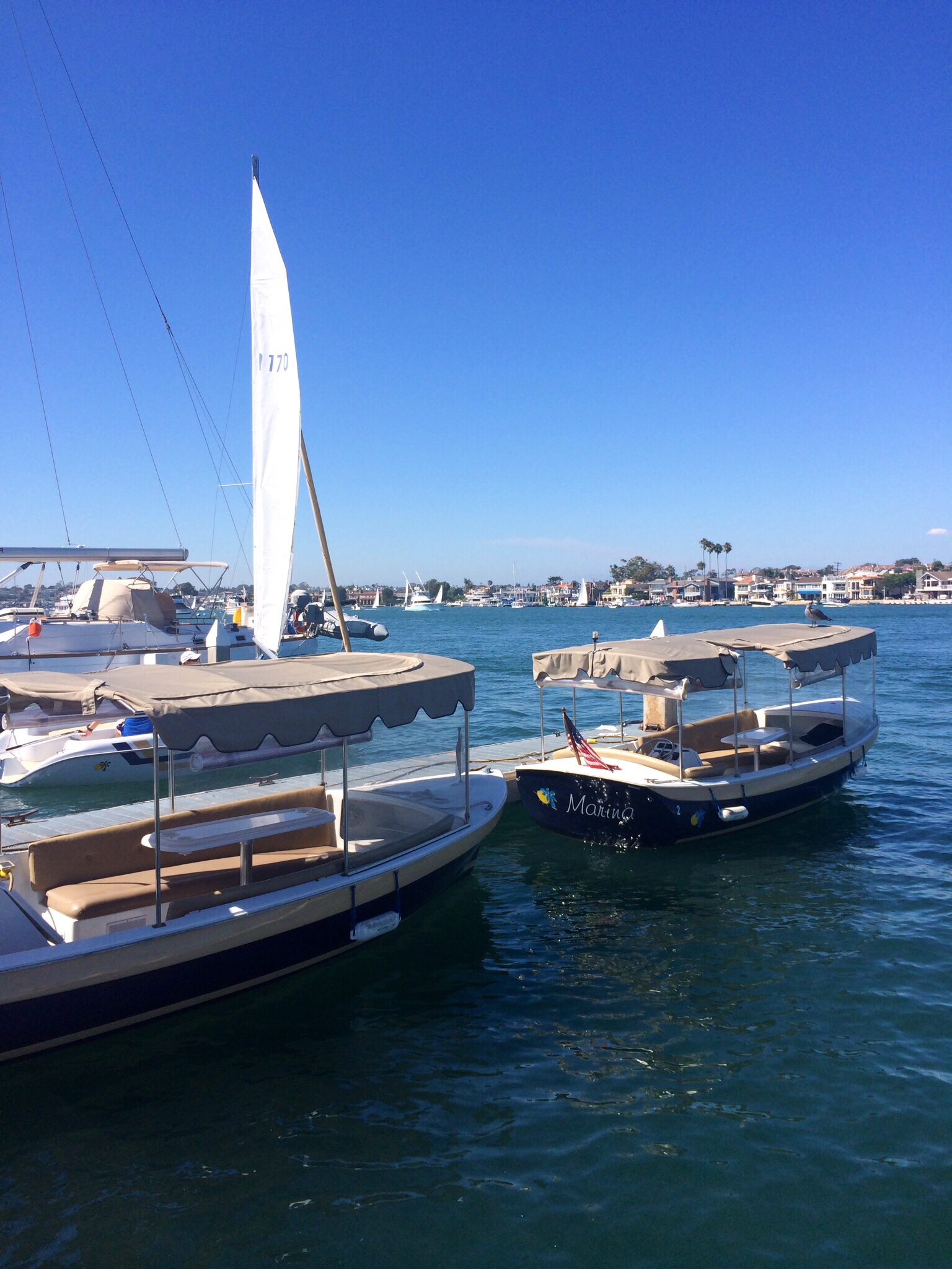 Newport Beach Harbor 