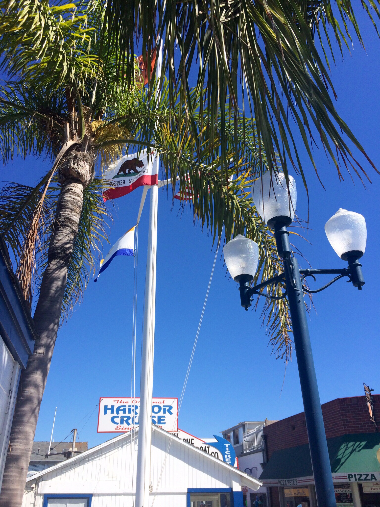 Newport Beach  Harbor 