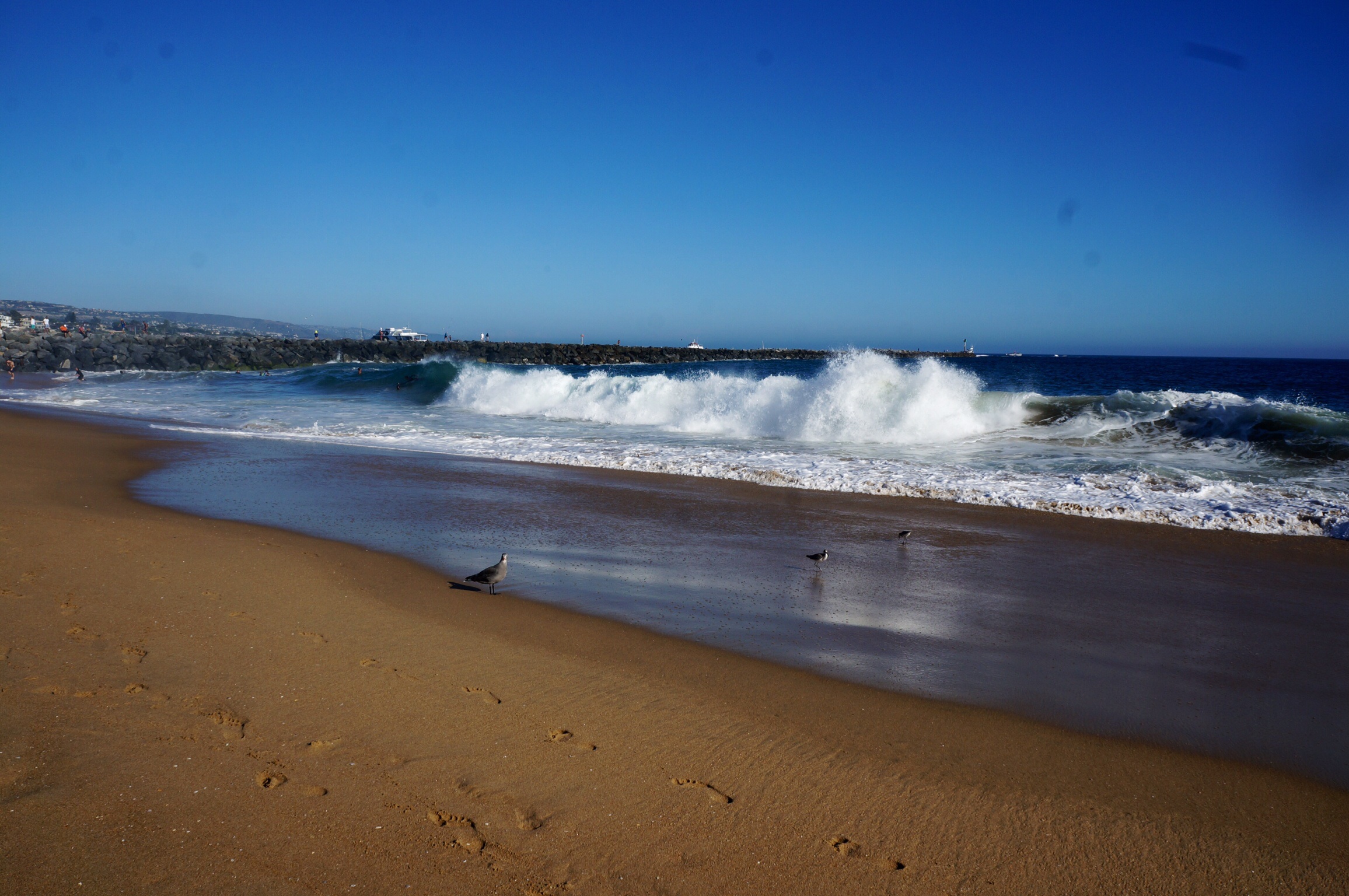 Newport Beach 