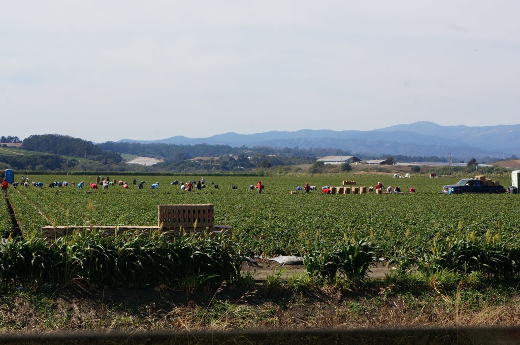 Route de Carmel Californie