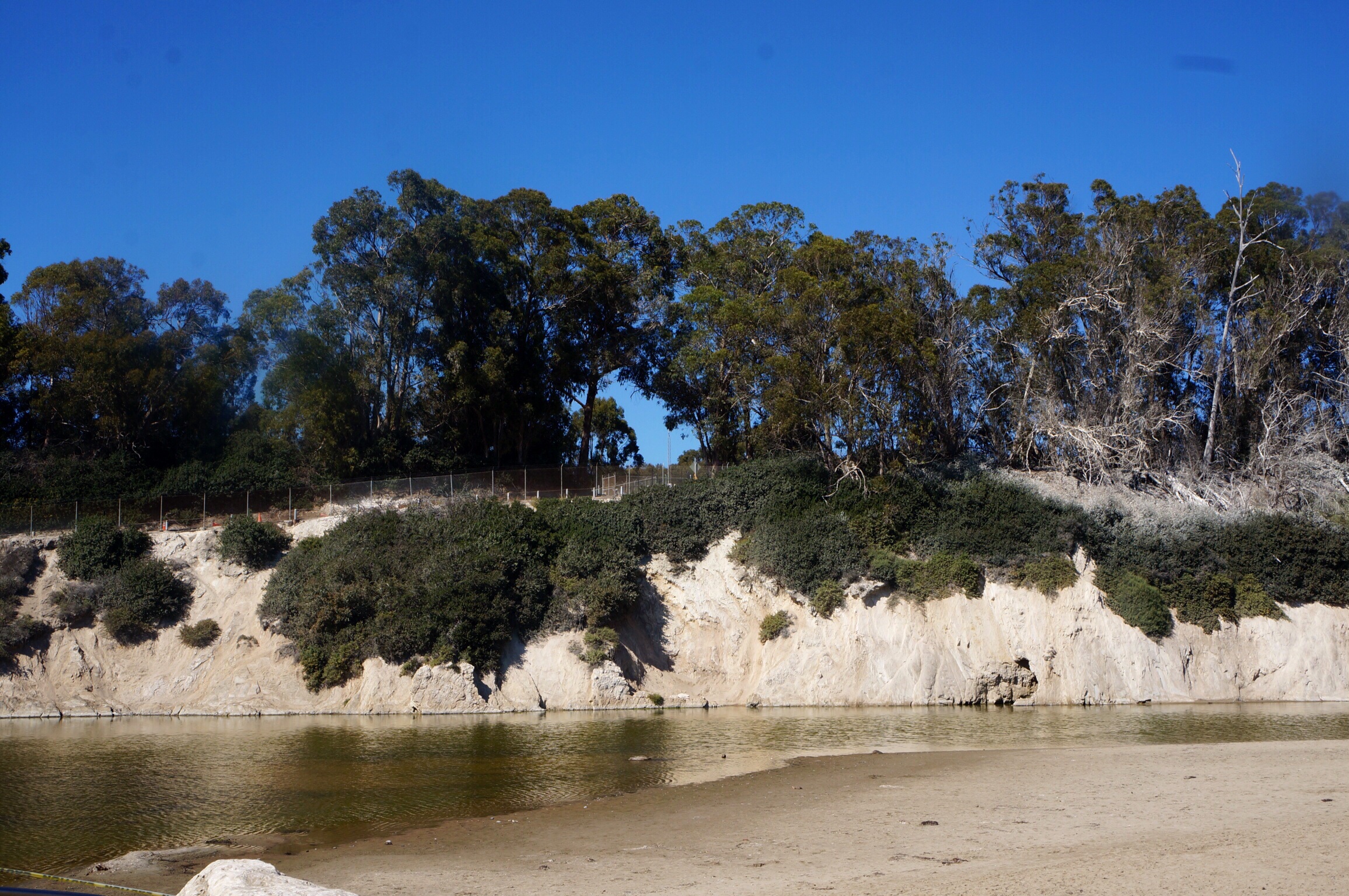 Santa Barbara Beach de la Goleta 