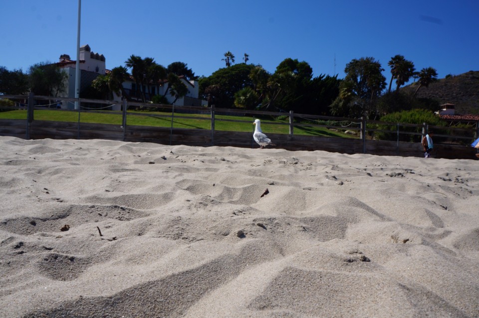 Malibu Beach 