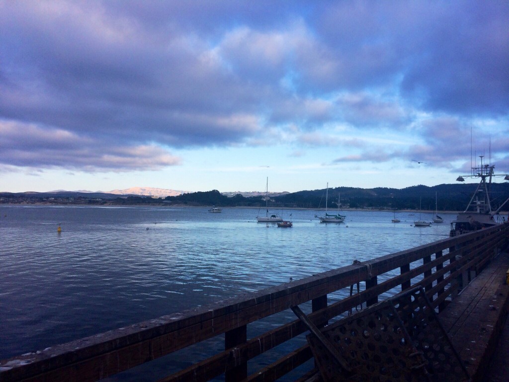 Baie de Monterey depuis le Pier