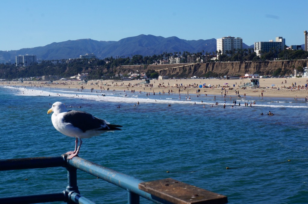 Pier de Santa Monica