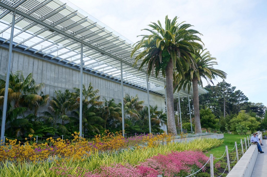 De Young muséum San Francisco