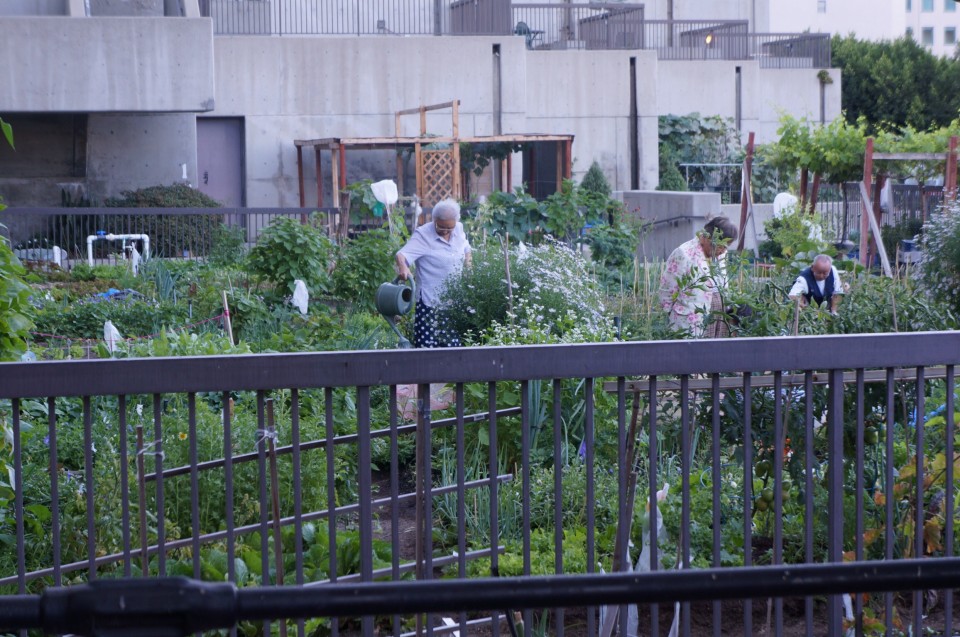 Jardin potager Los Angeles Downtown