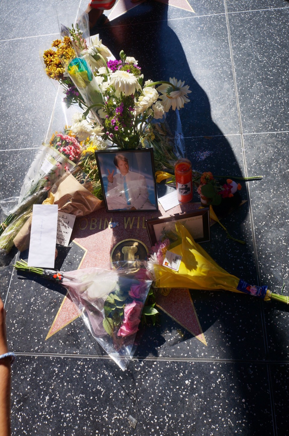 Robin Williams Hollywood blvd 