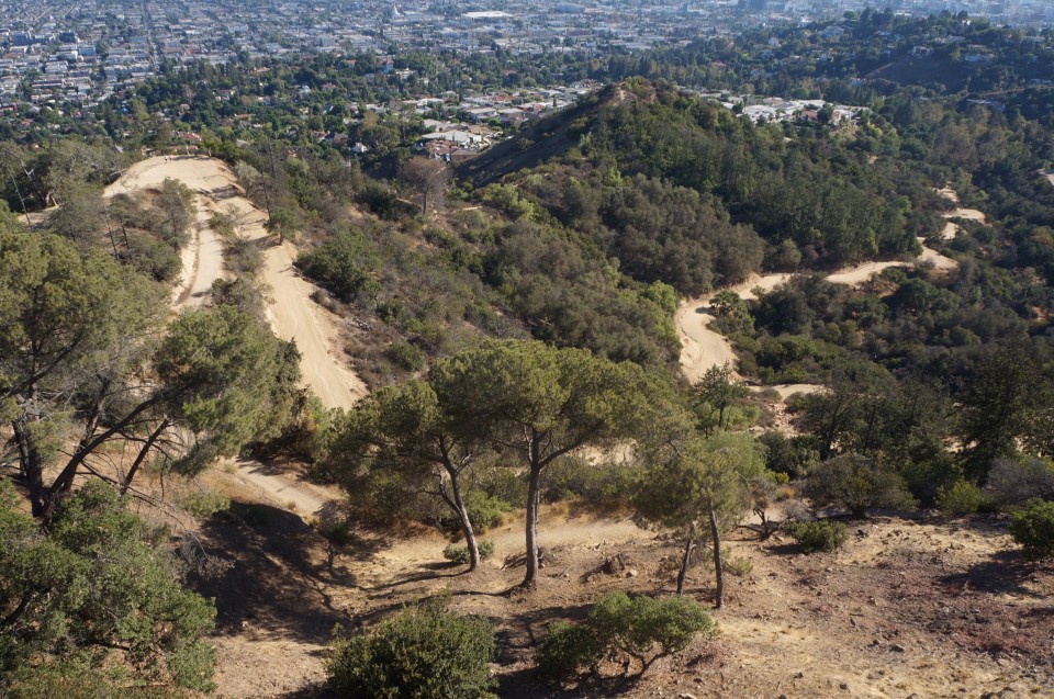 Griffith obervatory Los Angeles 