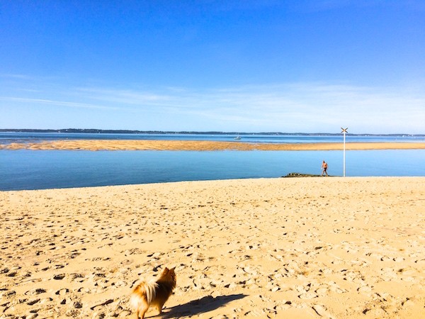 Novembre, plage du Moulleau ! (189*) | Blog Enfin Moi ...