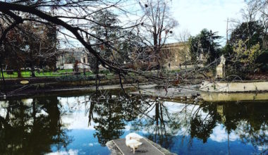 Jardin public Bordeaux