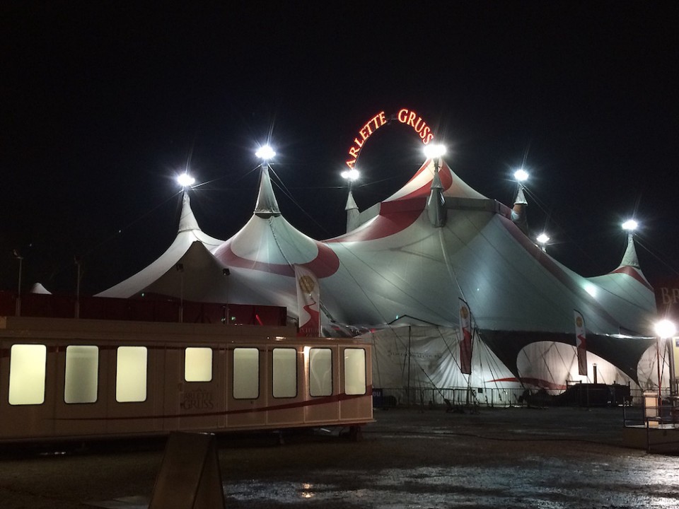 CIRQUE ARLETTE GRUSS BORDEAUX