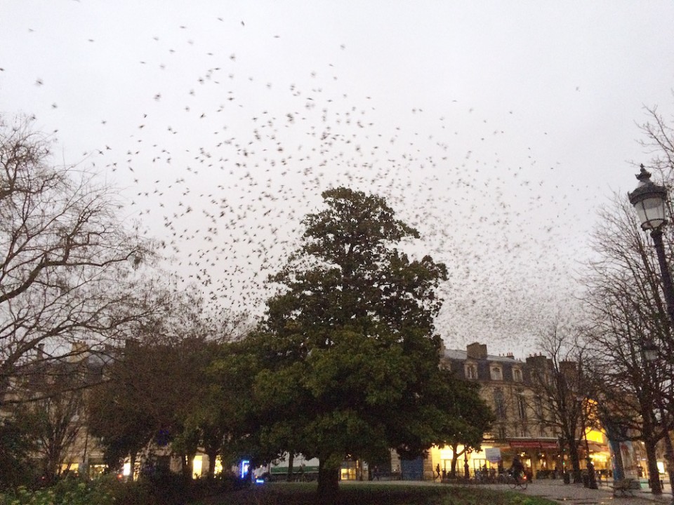 PLACE GAMBETTA BORDEAUX