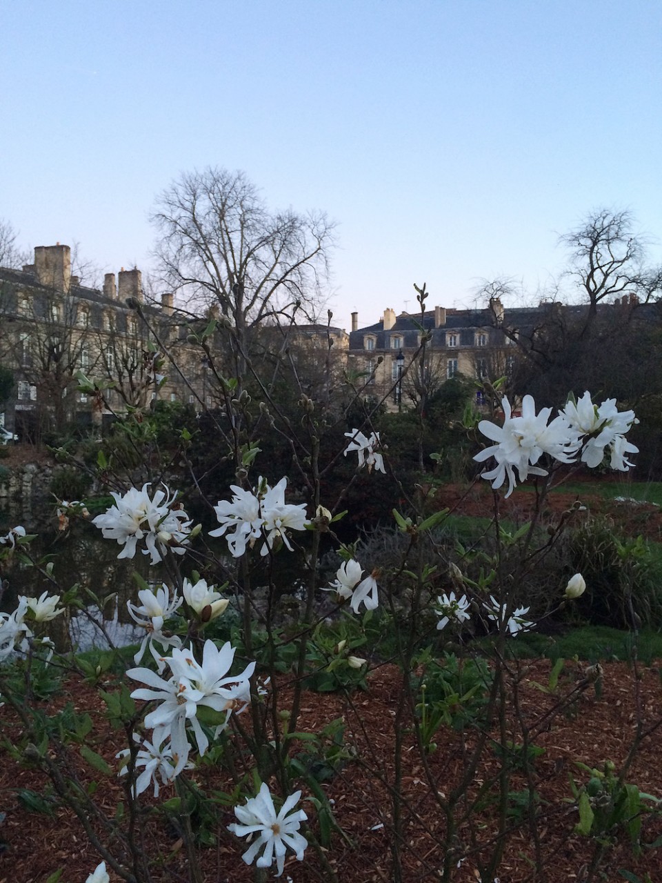 PLACE GAMBETTA BORDEAUX