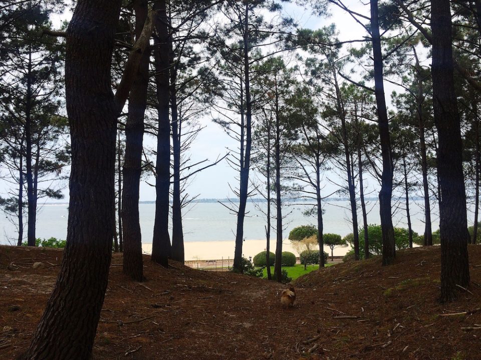 PLAGE PEREIRE ARCACHON