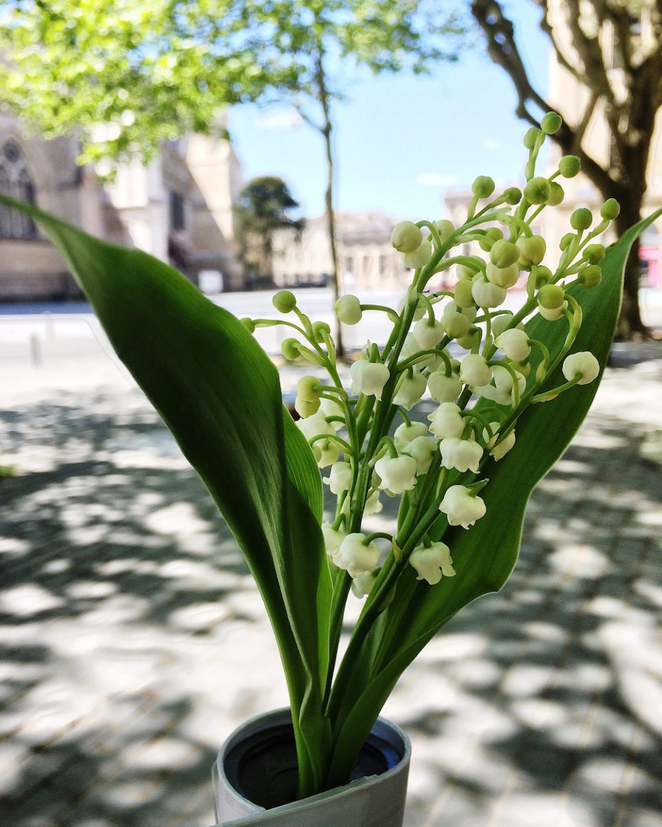 1 MAI 2016