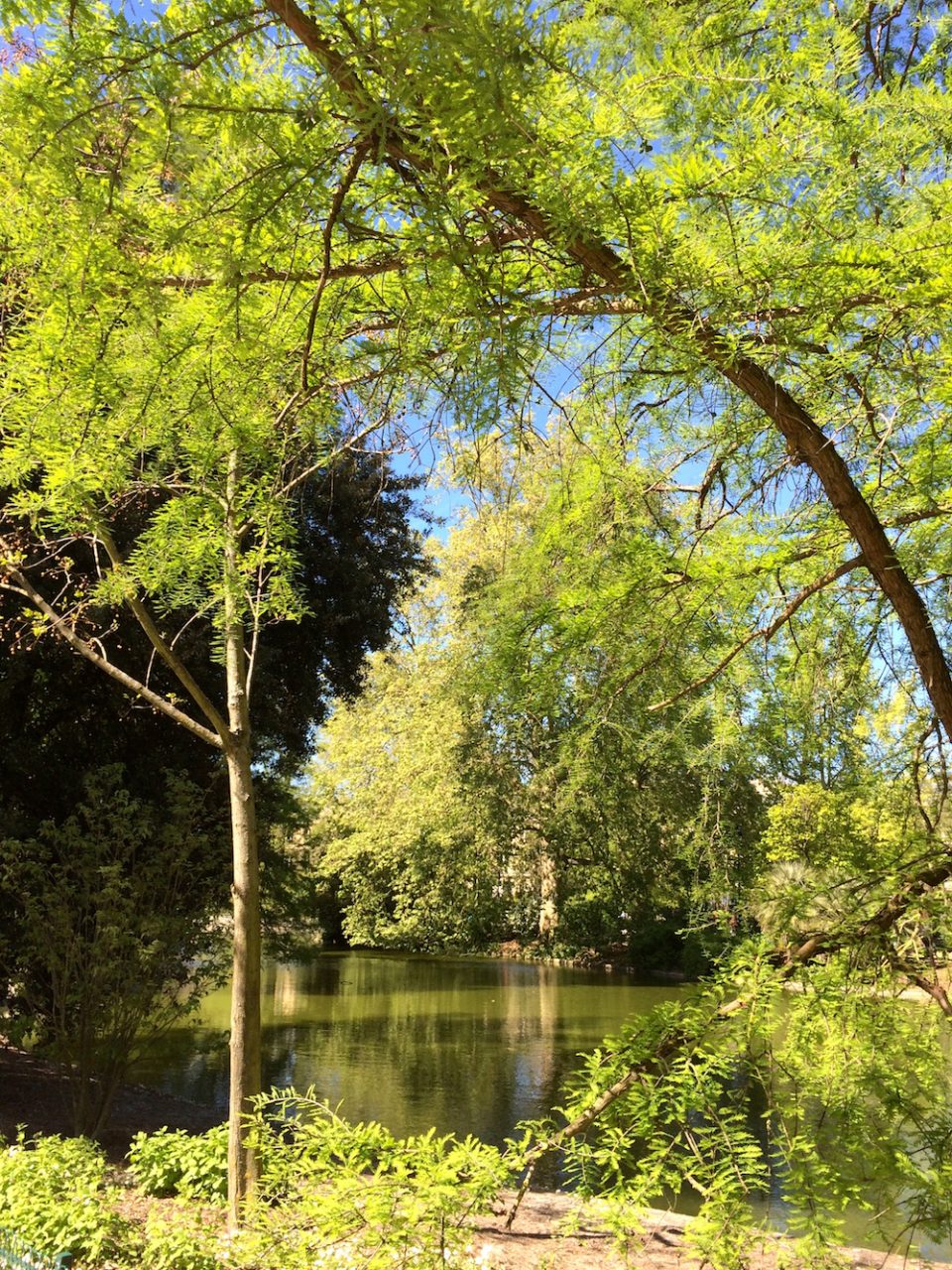 JARDIN PUBLIC BORDEAUX