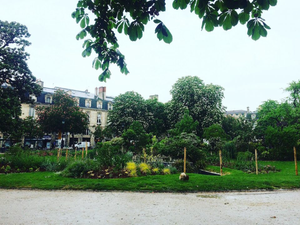 PLACE GAMBETTA BORDEAUX