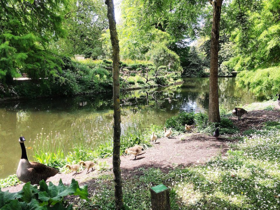 JARDIN PUBLIC BORDEAUX