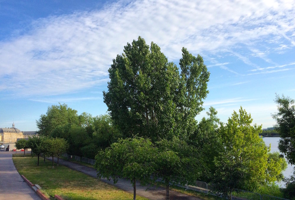 LES QUAIS DE BORDEAUX