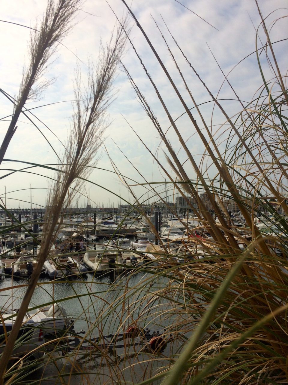 PORT D ARCACHON