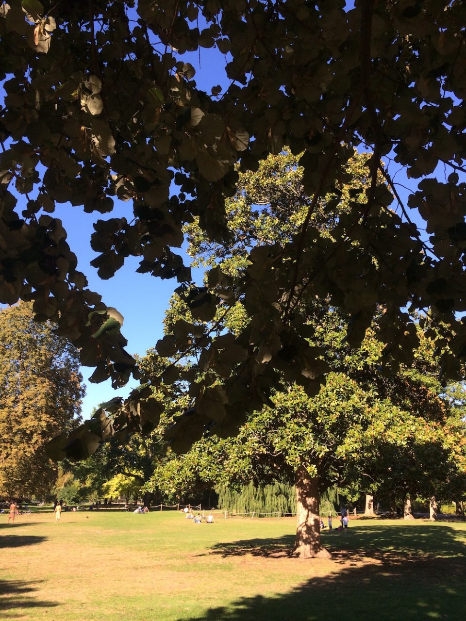 Jardin-public-bordeaux