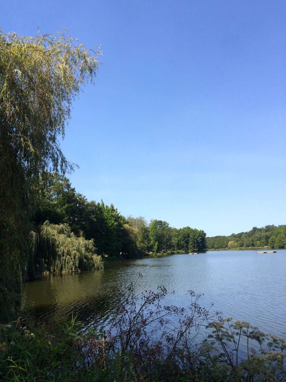 etang-de-saint-paul-les-dax