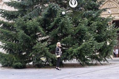 Bordeaux Noël 2016