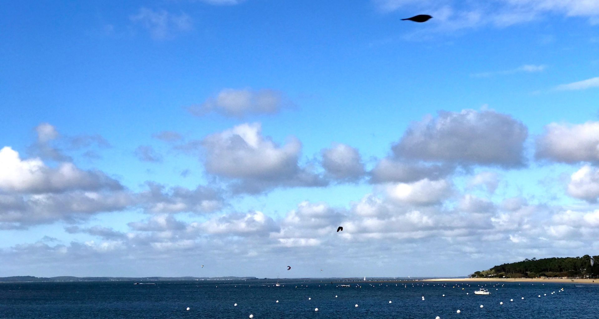 BASSIN D ARCACHON