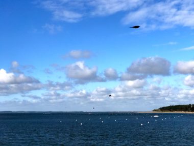 BASSIN D ARCACHON