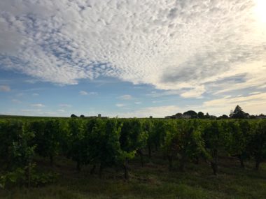 SAINT EMILION