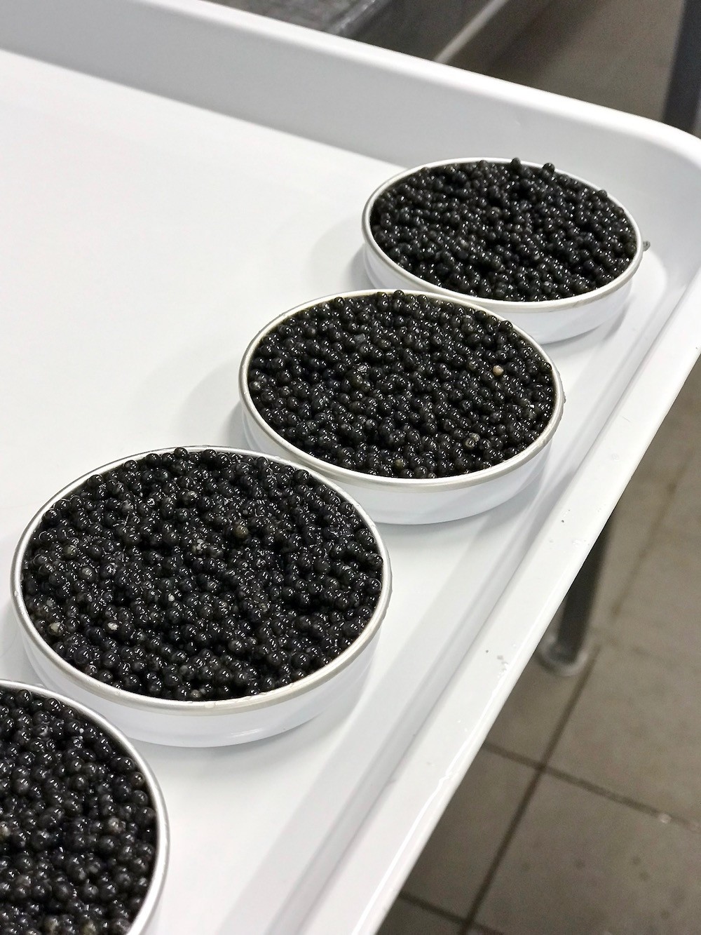 LE CAVIAR MADE IN FRANCE