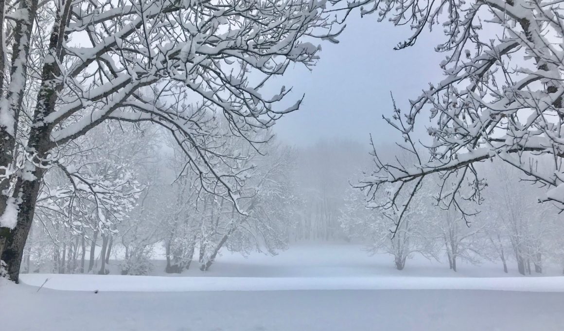 NOEL SOUS LA NEIGE