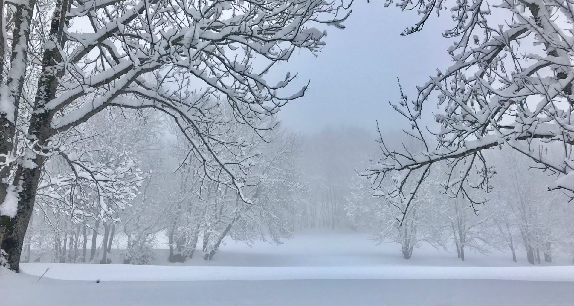 NOEL SOUS LA NEIGE