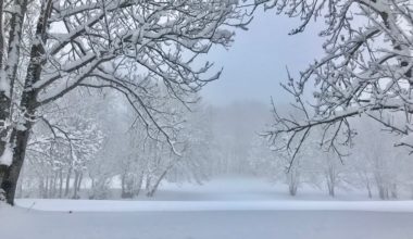 NOEL SOUS LA NEIGE