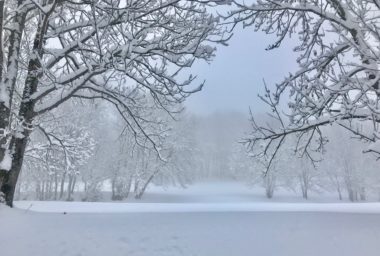 NOEL SOUS LA NEIGE