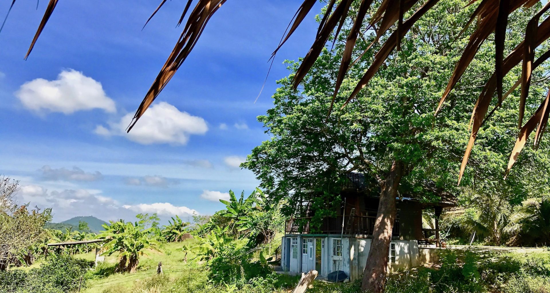 UN REVE REPARTIR EN THAILANDE