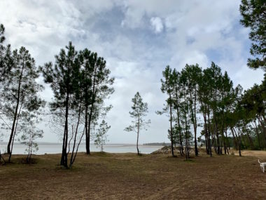 PLAGE DE GATSEAU