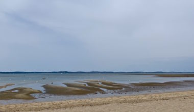 BASSIN D ARCACHON